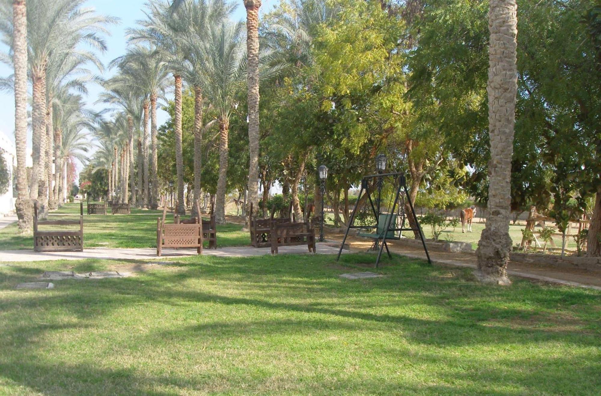 Abū Sulţān Six Corners Resort מראה חיצוני תמונה